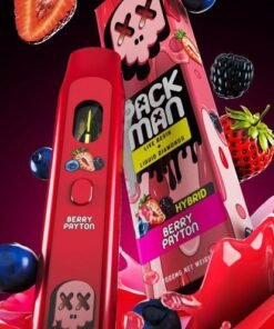 Buy Packman Berry Payton - Unique Berry Vape Flavor 2024